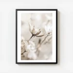 affiche de fleur beige clair sechee en gros plan avec des lignes foncees sur les avec cadre.webp