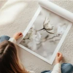 affiche de fleur beige clair sechee en gros plan avec des lignes foncees sur les en rouleau.webp