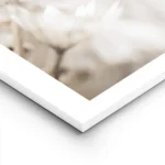 affiche de fleur beige clair sechee en gros plan avec des lignes foncees sur les lightpanel.webp