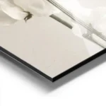 affiche de fleur blanche delicate avec tige verte sur fond beige clair aluminium.webp