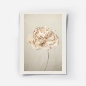 affiche de fleur rose pale vintage petales delicats sur fond texture beige.webp