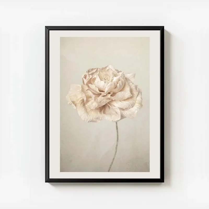 affiche de fleur rose pale vintage petales delicats sur fond texture beige avec cadre.webp