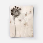 affiche de fleur sechee abstraite beige et blanche avec des ombres sur un fond c.webp