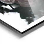 affiche de fleurs aux tons doux avec une grande fleur rose pale et des feuilles aluminium.webp