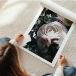 affiche de fleurs aux tons doux avec une grande fleur rose pale et des feuilles en rouleau.webp