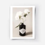 affiche de fleurs blanches dans une bouteille de gin noire sur fond beige granul.webp