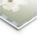 affiche de fleurs blanches sur fond vert doux aux petales delicats et a la typog lightpanel.webp
