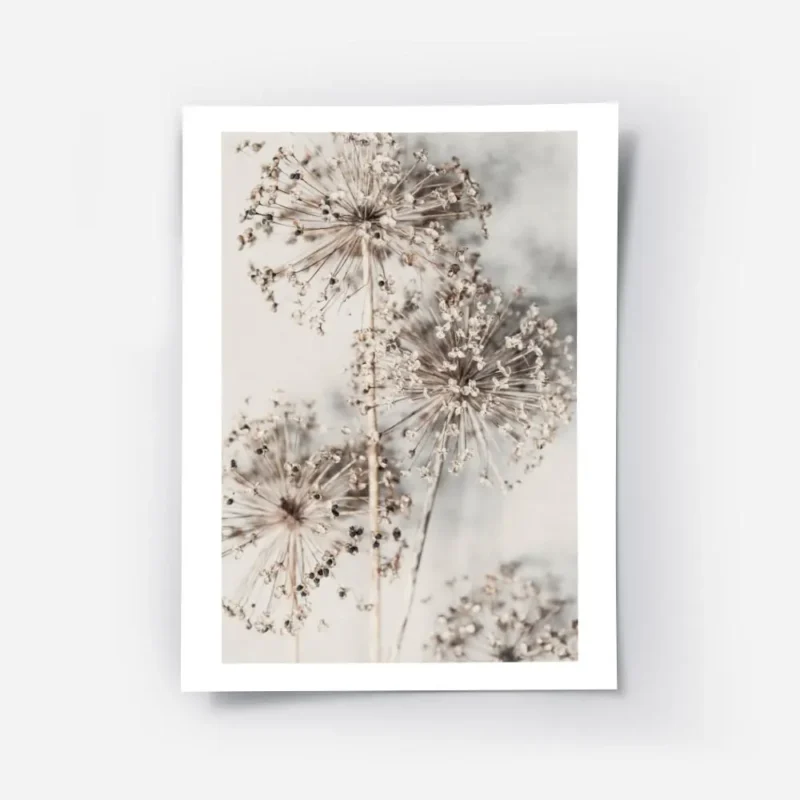 affiche de fleurs dallium sechees beiges sur fond clair avec des typographies te.webp