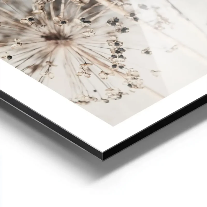 affiche de fleurs dallium sechees beiges sur fond clair avec des typographies te aluminium.webp