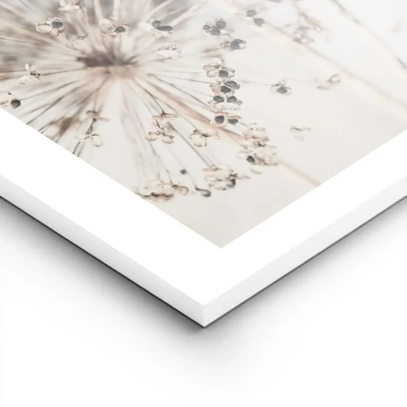 affiche de fleurs dallium sechees beiges sur fond clair avec des typographies te lightpanel.webp