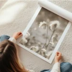 affiche de fleurs de coton apaisantes blanches et duveteuses baignees par une lu en rouleau.webp