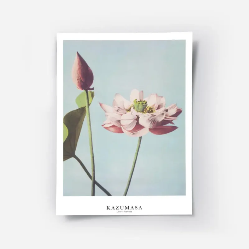 affiche de fleurs de lotus roses a tige verte sur fond bleu ciel par ogawa kazum.webp