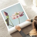 affiche de fleurs de lotus roses a tige verte sur fond bleu ciel par ogawa kazum au sol.webp