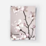 affiche de fleurs de magnolia roses et blanches sur fond pastel avec des branche.webp