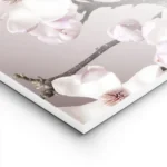 affiche de fleurs de magnolia roses et blanches sur fond pastel avec des branche lightpanel.webp