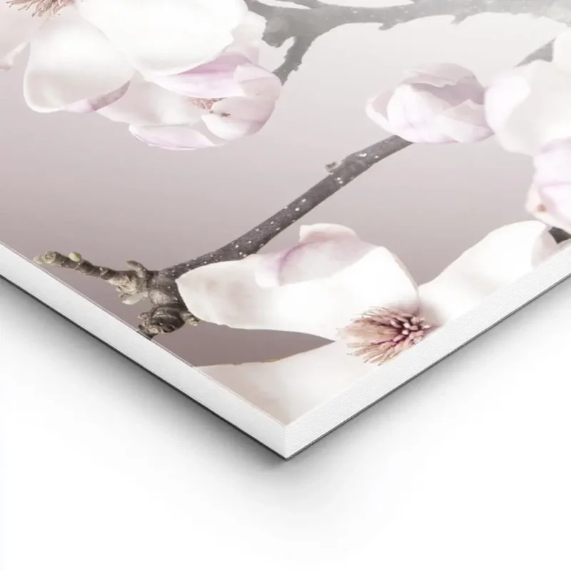 affiche de fleurs de magnolia roses et blanches sur fond pastel avec des branche lightpanel.webp
