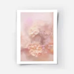 affiche de fleurs douces aux couleurs peche et rose avec un effet flou creant un.webp