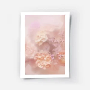 affiche de fleurs douces aux couleurs peche et rose avec un effet flou creant un.webp