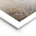 affiche de fleurs fanees et de vegetation seche sur fond clair avec une bordure lightpanel.webp