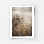 affiche de fleurs marron sechees avec des fils blancs et un arriere plan flou.webp