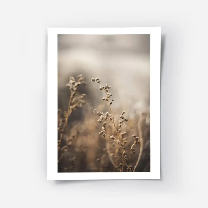 affiche de fleurs marron sechees avec des fils blancs et un arriere plan flou.webp